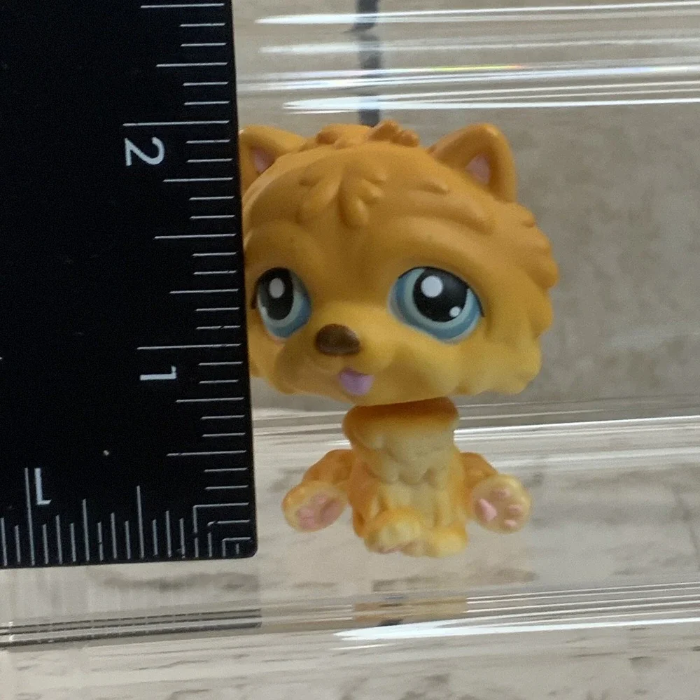 Hasbro littlest pet
